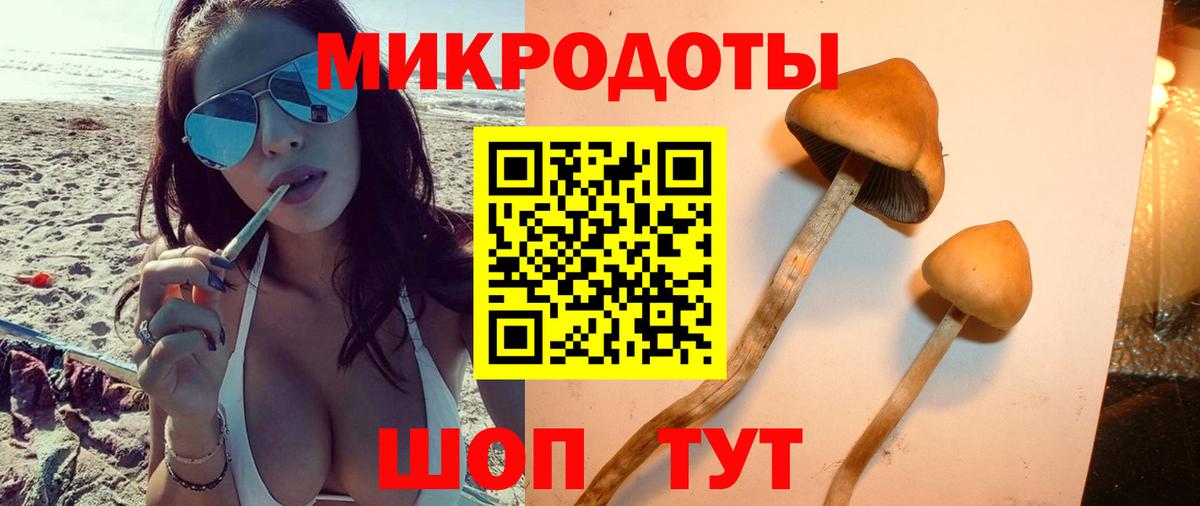 Псилоцибиновые грибы Psilocybe  Псилоцибиновые грибы Psilocybine cubensis  Нижний Тагил  Вход с VPN 